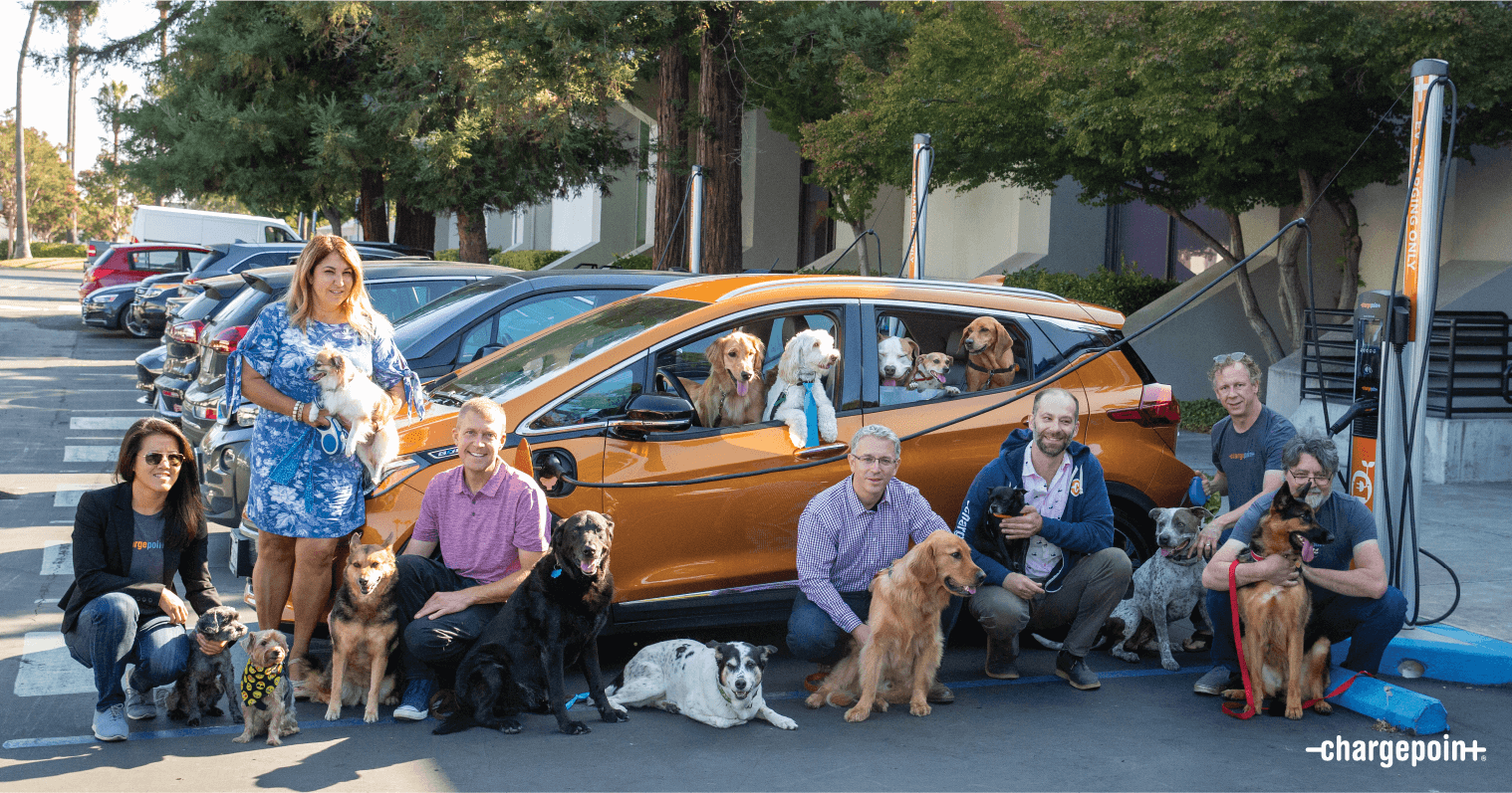 ChargePoint is a doggone great place to work!